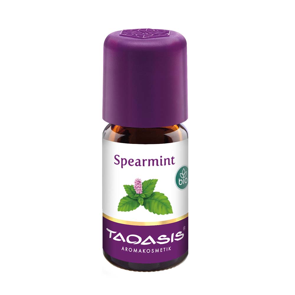 Mięta Zielona (Kędzierzawa)(Spearmint) bio, 5 ml, Mentha spicata